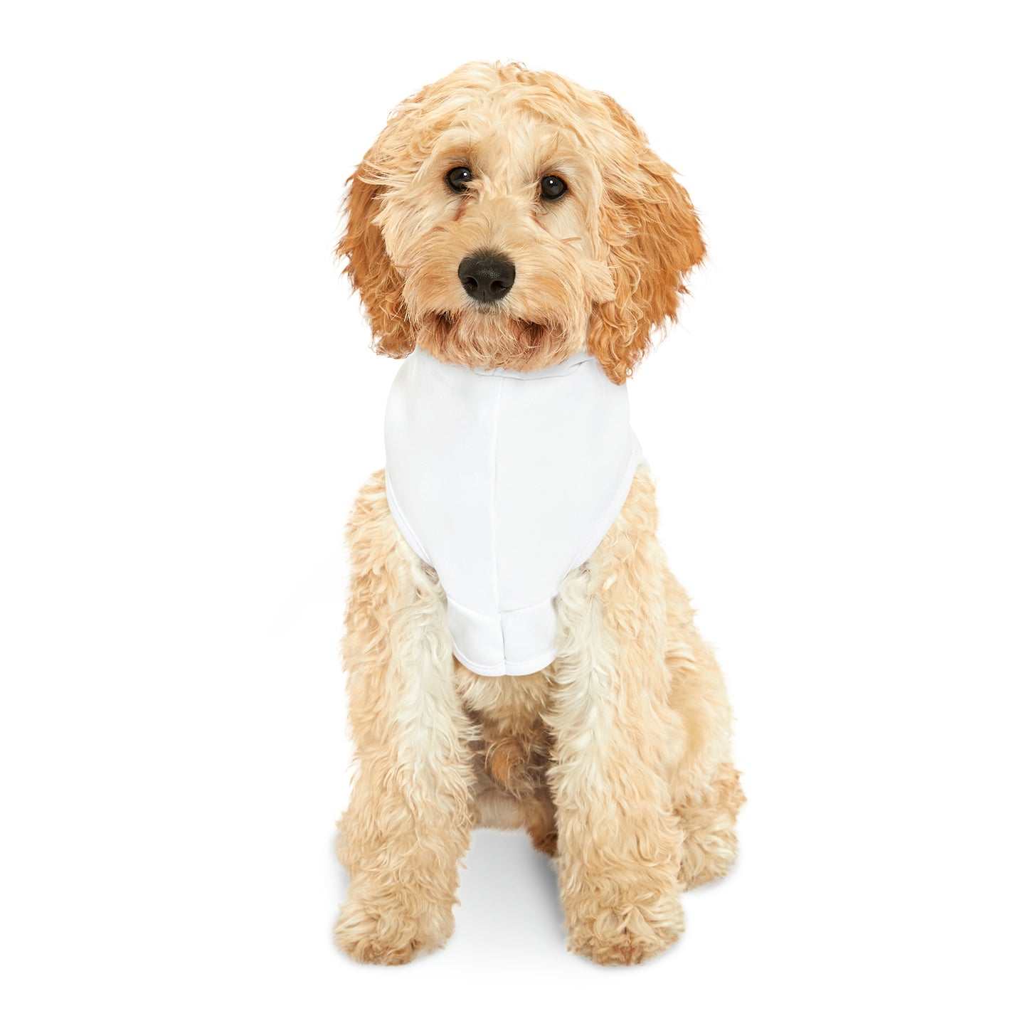 Trump For President Pet Hoodie (White)