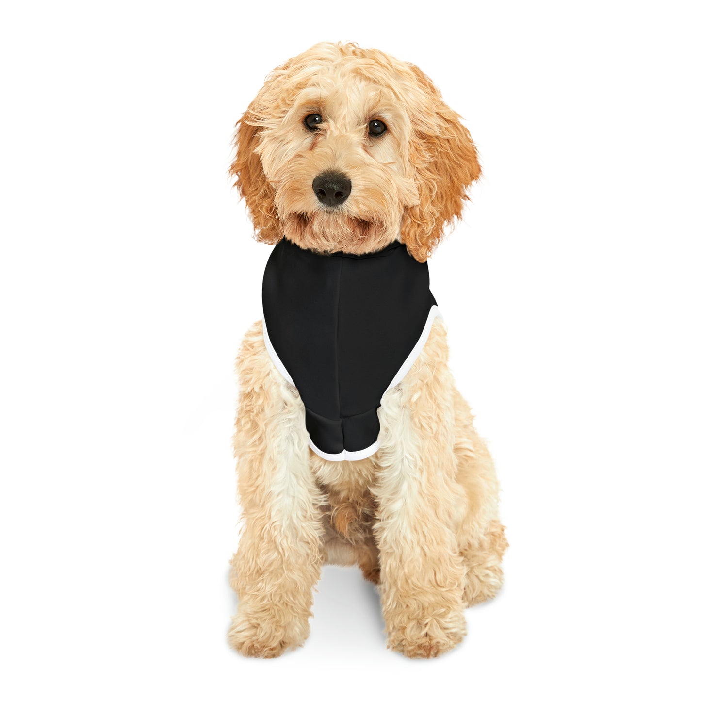 Afro Trump Pet Hoodie (Black)